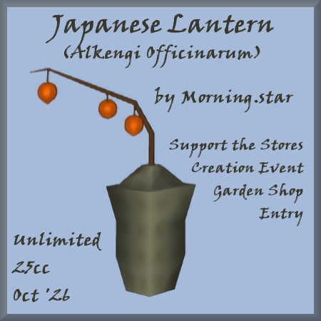 Japanese Lantern by Morning.star