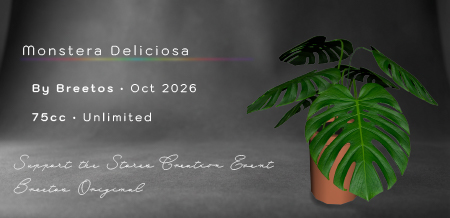 Monstera Deliciosa by Breetos