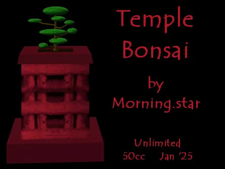 Temple Bonsai(50)[0110] by Morning.star