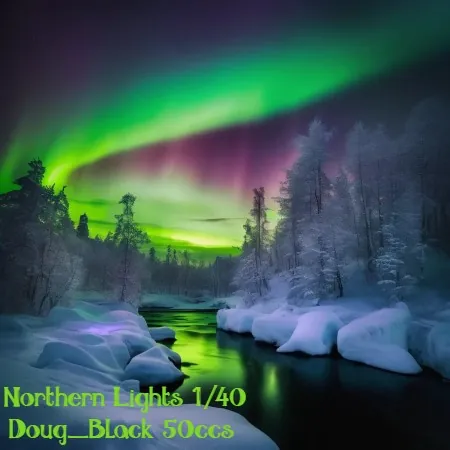 Northern Lights(50)[0221] by Doug_Black