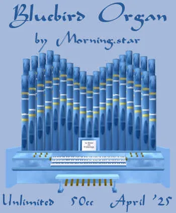 Bluebird Organ(50)[0411] by Morning.star