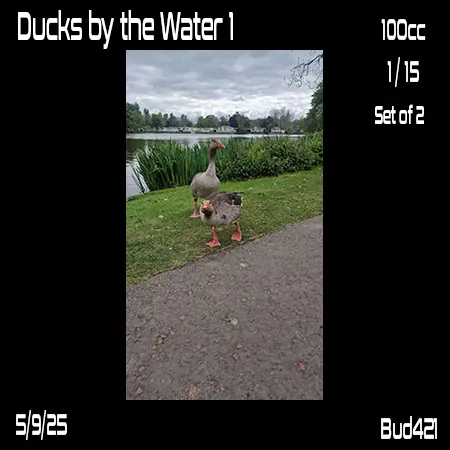 Ducks by the water(100)[0509] by Bud421