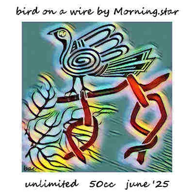 Bird on a Wire(50)[0610] by Morning.star