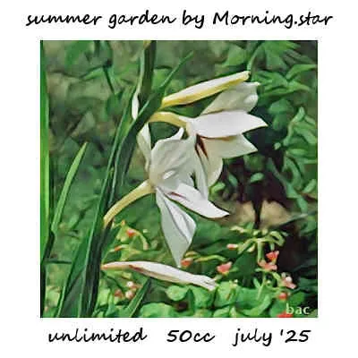 Summer Garden(50)[0701] by Morning.star