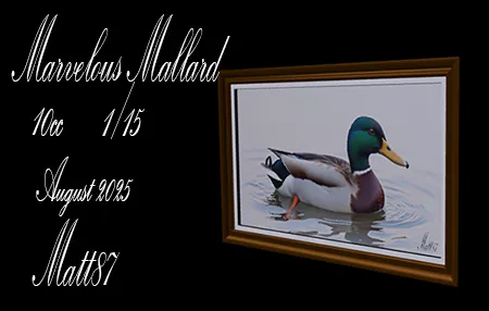 Marvelous Mallard(10)[0801] by Matt87