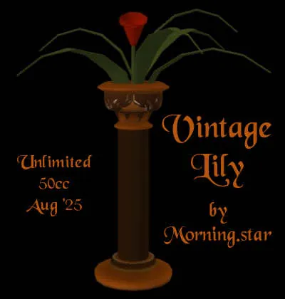 Vintage Lily(50)[0822] by Morning.star