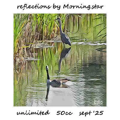 Reflections(50)[0909] by Morning.star