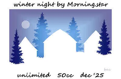 Winter Night(50)[1223] by Morning.star