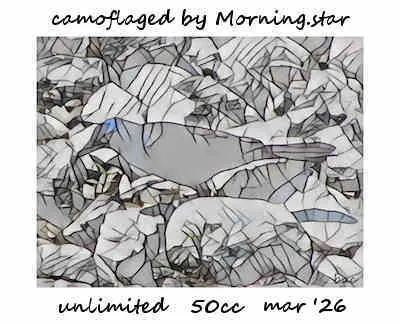 Camoflaged(50)[0303] by Morning.star