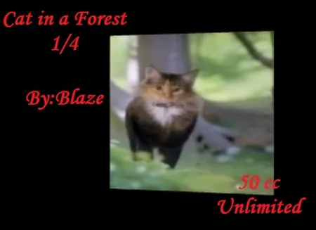 Cat in a Forest 1(50){1017} by Blaze