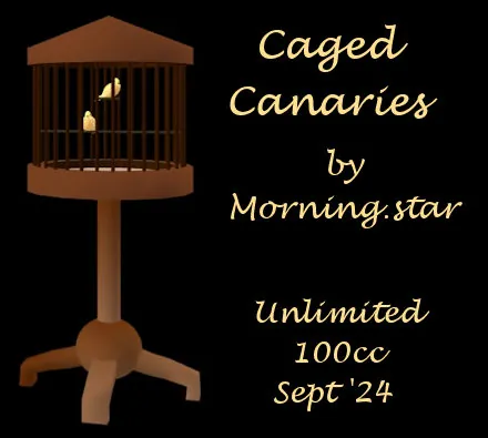Caged Canaries(100)[0924] by Morning.star