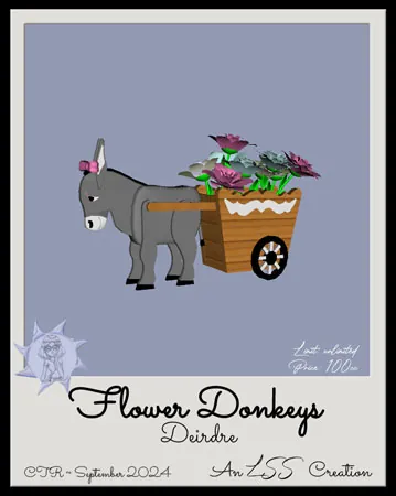 Deirdre Donkey(100)[1004] by LSS