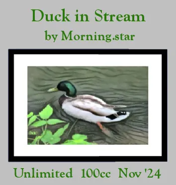 Duck in Stream(100)[1105] by Morning.star