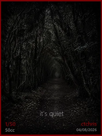 it's quiet by ctchris