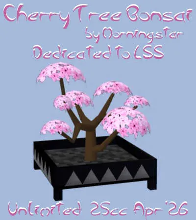 Cherry Tree Bonsai(25)[0407] by Morning.star