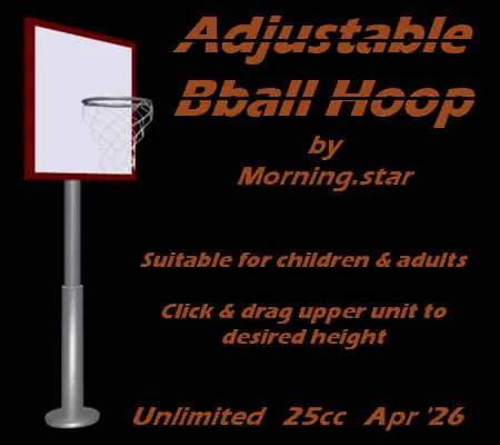 Bball Hoop(25)[0417] by Morning.star