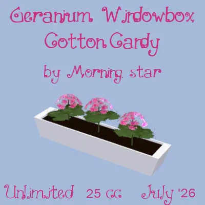Geranium Windowbox(25)[0724] by Morning.star