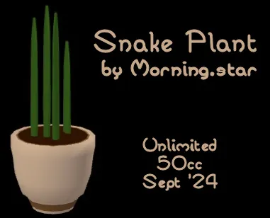 Snake Plant(50){0502} by Morning.star